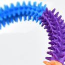 Pet Training Ring Colorful Dog Cat Molar Chew Teeth Cleaning Bite Resistant Toys