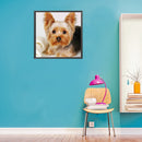 5D Diamond Painting Kit Yorkshire Terrier Full Square Drill DIY Art Craft Mosaic