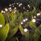2pcs Garden Solar Light Convenient Use for Home Garden Landscape Courtyard