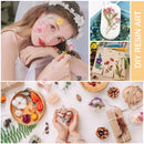 Dried Flower Material - Real Pressed Dry Flowers & Leaves Set for Nail Art Ma