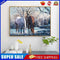 #A 5D DIY Diamond Painting Glacier Horse Kits Full Round Drill Wall Decor Crafts