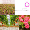 Full-Spectrum Intelligent Timing Plants Flowers Seedlings USB Sunlight Phytol