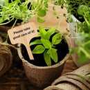 50x Wooden T-Shape Plant Labels Seed Potted Herbs Flowers Sign Tags Sticks Newly