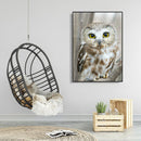 5D DIY Diamond Painting Full Drill Mosaic Kits Owl Cross Stitch Embroidery De