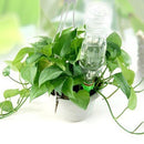 12 x Garden Cone Watering Flower Plant Waterers Bottle Irrigation System
