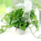12 x Garden Cone Watering Flower Plant Waterers Bottle Irrigation System