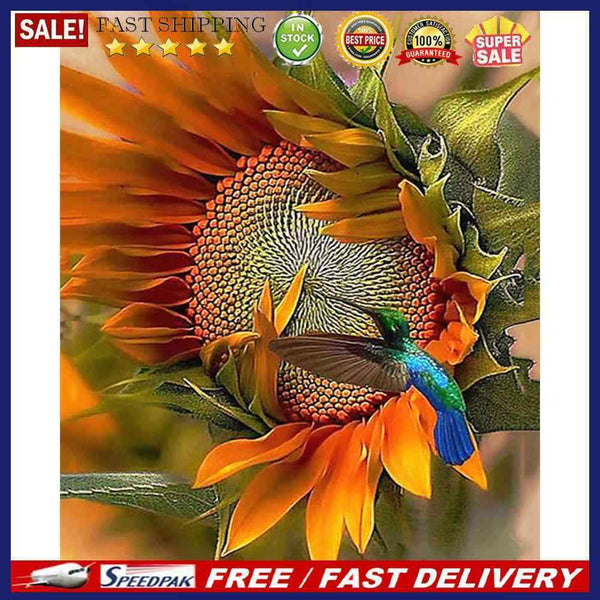 Hand Painted DIY Hummingbird Sunflower Oil Canvas Paint By Numbers Drawing