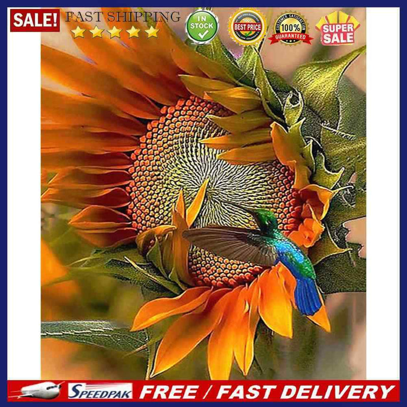 Hand Painted DIY Hummingbird Sunflower Oil Canvas Paint By Numbers Drawing