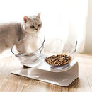 Double Cat Bowls, Raised Pet Tilted Stand Food Water Feeder Bowls for Kitten Cat
