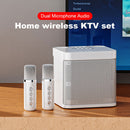 100W Portable Professional Karaoke Dual Microphone Wireless Stereo Bass Spe