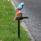 LED Solar Lights Parrot Waterproof Lawn Stakes Lamps Garden Decor (Blue) Newly