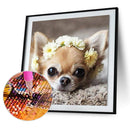 5D DIY Diamond Painting Flower Dog Full Round Drill Mosaic Picture Wall Art Kit