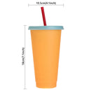 Multicolor Discoloration Portable Coffee Drink Ware Plastic Cup Straw Cup