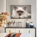 Drill Point Handicraft 5D Burmese Cat Full Drill Diamond Painting for Wall Gift
