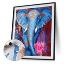 Animal Oil Paint By Numbers Kit DIY Frameless Drawing Picture for Adults Decor