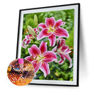 5D Diamond Painting Kit DIY Flowers Full Round Drill Mosaic Picture 30x40cm