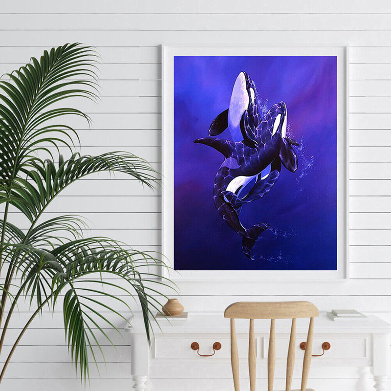 Killer Whale Oil Paint By Numbers Kit DIY Acrylic Painting on Canvas (B1477)