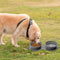 Dog Bowls Dog Cat Water Food Bowls Slow Feeder Bowls Collapsible Pet Bowls