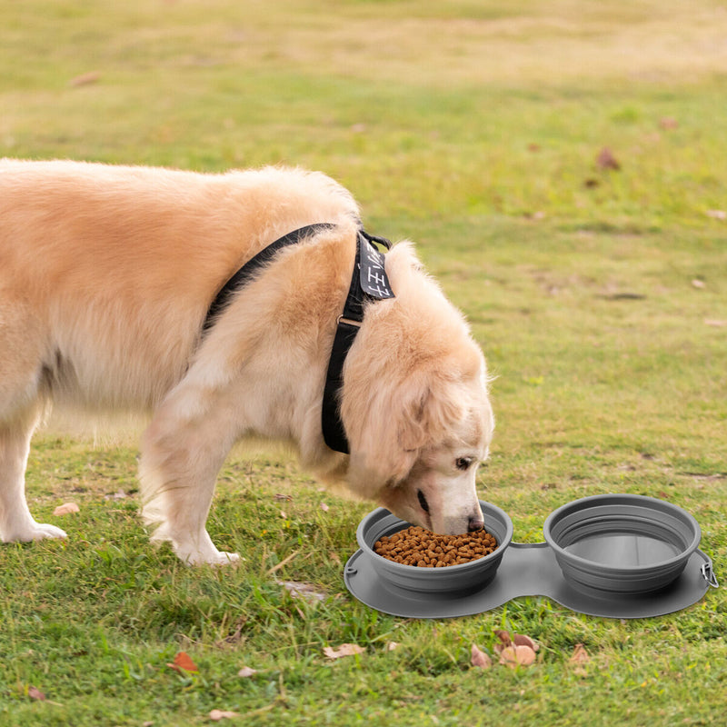 Dog Bowls Dog Cat Water Food Bowls Slow Feeder Bowls Collapsible Pet Bowls