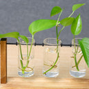 Frame Plant Flower Pot Flower Arrangement Glass Vase Hydroponic Plant Vase