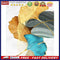 Oil Painting By Numbers Acrylic Handmade Gingko Leaves Digital Picture Art De