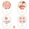 5pcs/set Flower Mold DIY Blossom Shape Cookie D3Y4 U6L3