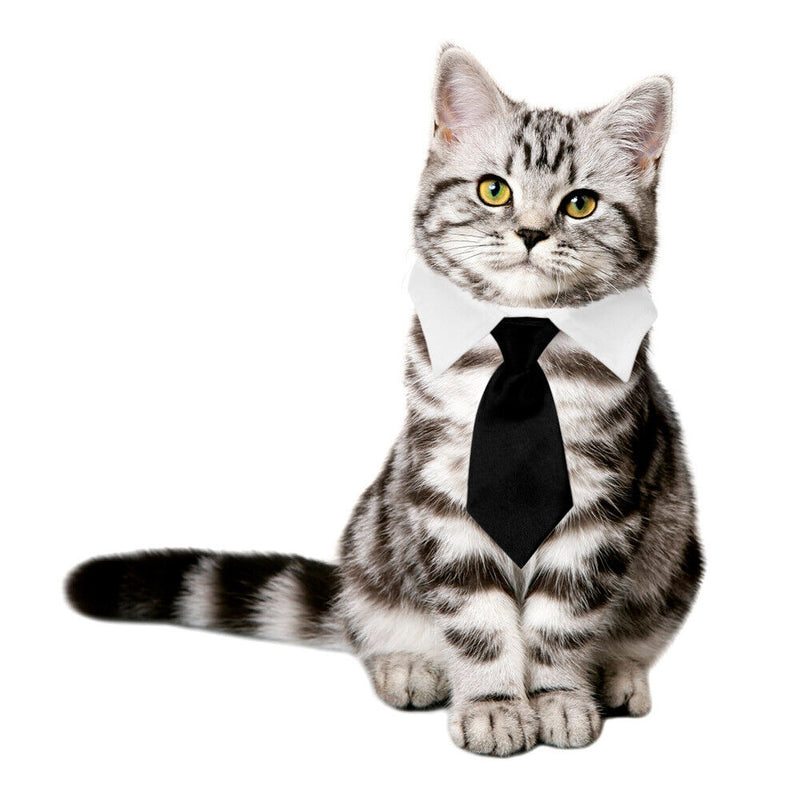 Cat Dog Collar Bow Tie Cotton Pet Formal Necktie for Wedding (Black S)