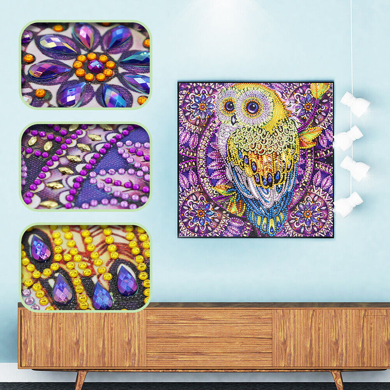 5D DIY Special Shaped Diamond Painting Owl Cross Stitch Mosaic Kit (R113)
