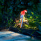 Solar Power LED Parrot Lawn Light Waterproof Garden Landscape Lamp (Red)