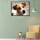 5D DIY Diamond Painting Kits Grey White Dog Full Round Drill Home Decoration Set