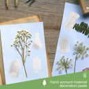 Stickers Set - 20pcs Hand Account Stickers for Scrapbooking Journal (5) Newly