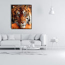 Painting By Numbers Kit DIY Quiet Tiger Canvas Oil Wall Art Picture Ornaments