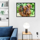 5D DIY Diamond Painting Animal Full Round Drill Wall Decor Art Crafts Mosaic