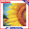 5D Diamond Painting Half Sunflower Full Round Drill DIY Picture Home Decorations