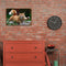 Lawn Cat Metal Retro Tin Sign Poster Wall Plate for Living Room Accessories