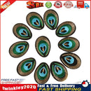 20pcs Peacock Eye Embroidered Cloth Iron On Patch Sew Motif Applique Newly