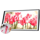 DIY Acrylic Paint by Numbers Oil Paint Kit Beautiful Flower Coloring by Numbe
