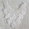 Embroidered Lace Lace Fabric Applique Embroidery Collar Neckline Accessories