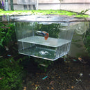 Acrylic Fish Tank Isolation Box Aquarium Juvenile Fish Breeding Incubator H