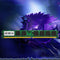 2GB DDR2 Desktop Laptop Memory RAM Memory Module 533Mhz PC2 4200 240Pin for AMD