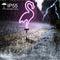 2pcs LED Solar Neon Lights Outdoor Flamingo Lawn Stake Lamp Garden Decoration