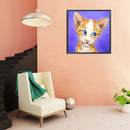 5D Diamond Painting Kit DIY Cute Cat Full Round Drill Mosaic Picture Wall Dec