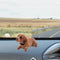 #A Bobble Head Dog Toys - Clever Cute Dancing Dogs for Car Dashboard Ornament