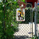 Welcome Dog Retro Metal Plate Tin Sign for Bar Pub Club Cafe Wall Art (2)