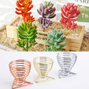 Decorations Organizer Display Stand Plant Holder Air Plants Holders Wall Hanger