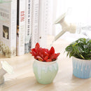 Sprinkler Nozzle Watering Bottle Water Cans for Flower Irrigation(Champagne