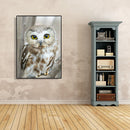 5D DIY Diamond Painting Full Drill Mosaic Kits Owl Cross Stitch Embroidery De
