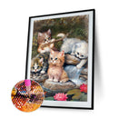 5D Diamond Painting Kit Cat Full Square Drill DIY Mosaic Picture Home Decorat