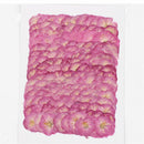 DIY Jewelry Making Decoration Crafts Sakura Pressed Flowers Real Dried Flowers