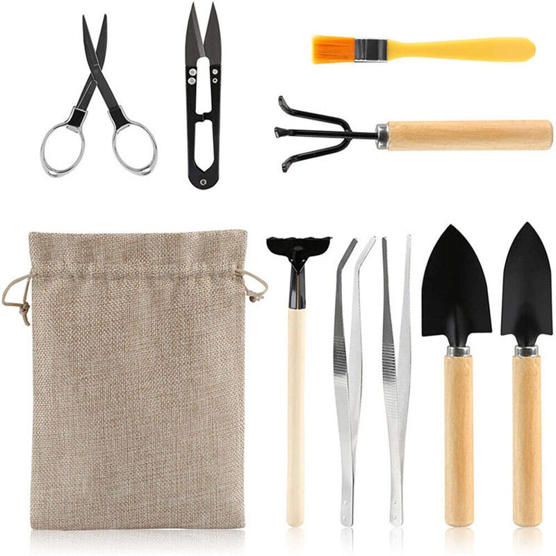 Digging Tool Basic Bonsai Tools Plant Transplant Tool Gardening Tools Kit